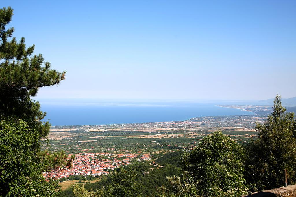 Hotel Villa Drosos Литокорон Екстериор снимка